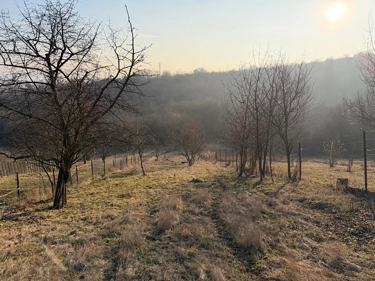 Prodej zahrady 1427 m²